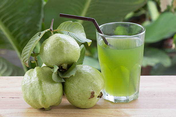 Guava Mint Kombucha